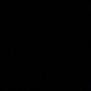 Meet your Posher, Fiona